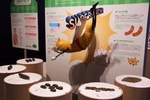 日本Poo Poo展覽, 讓小朋友更了解poo poo的產生過程，形狀變化、分類