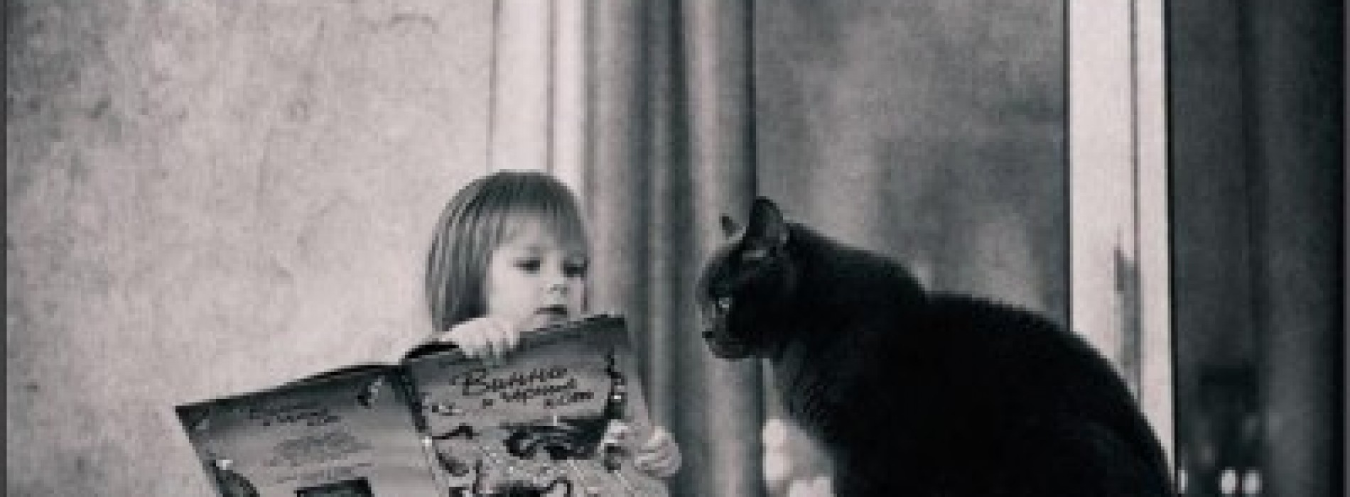 「小孩與小貓」的超友情
