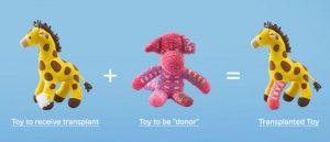 日本「Second Life Toys」組織發起的「布偶重生」活動